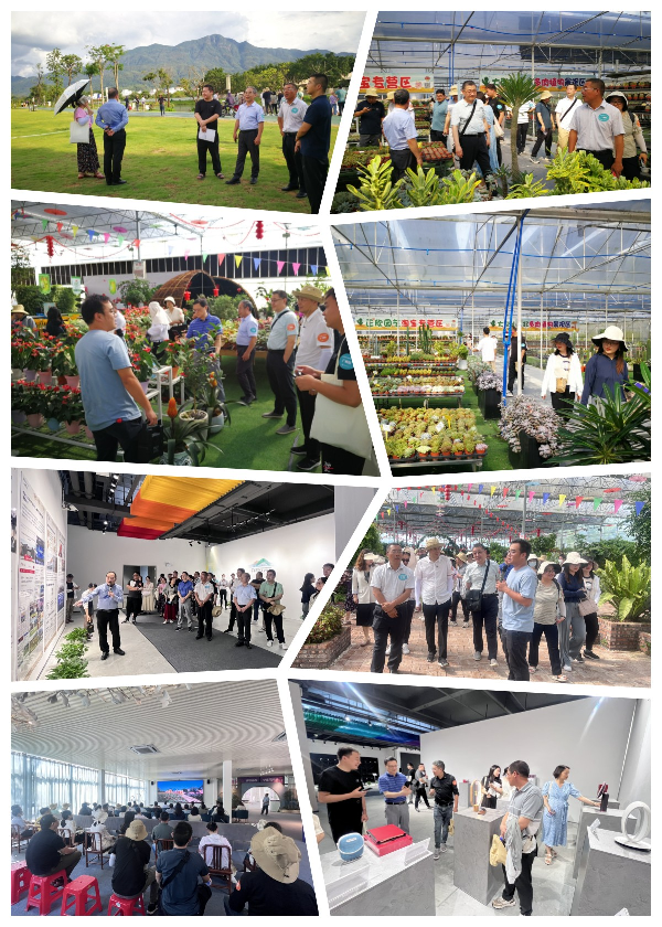 利豪娱乐·(中国游)有限公司官网